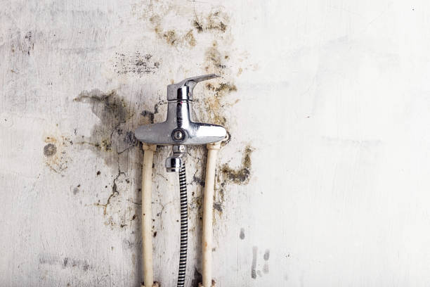 Best Home Mold Removal  in Bethlehem, PA