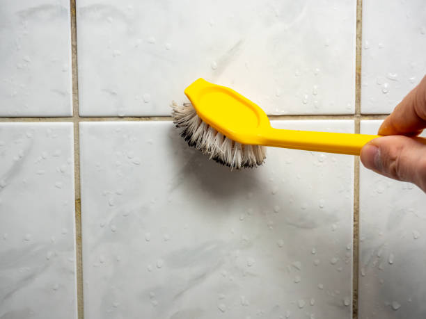 Best Black Mold Removal  in Bethlehem, PA
