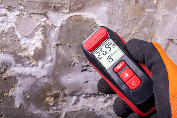 Best Professional Mold Removal  in Bethlehem, PA