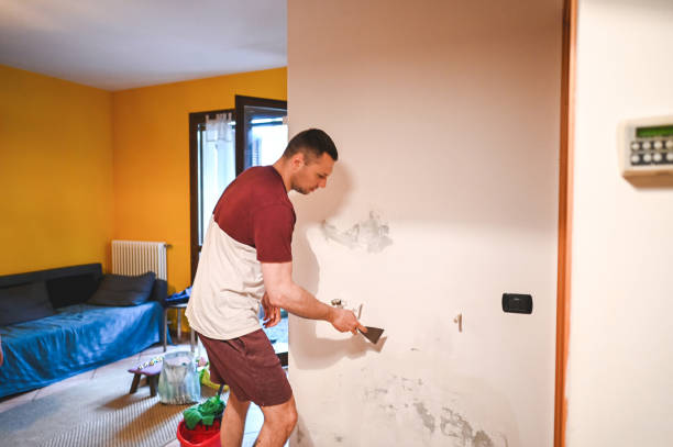 Best Toxic Mold Removal  in Bethlehem, PA